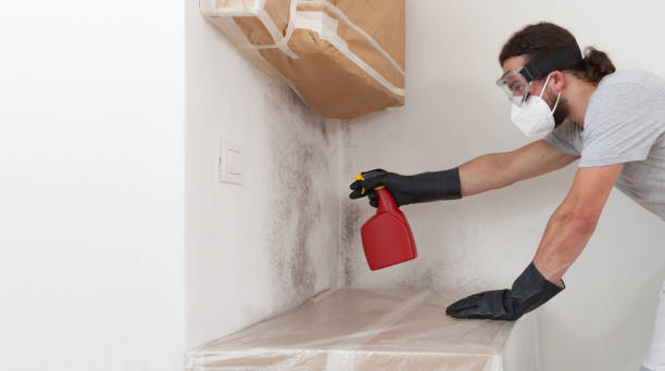 Professional Crawl Space Mold Removal technician working in Watertown, MA