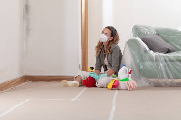 Reliable Crawl Space Mold Removal contractor in Watertown, MA by WQB Mold Removal